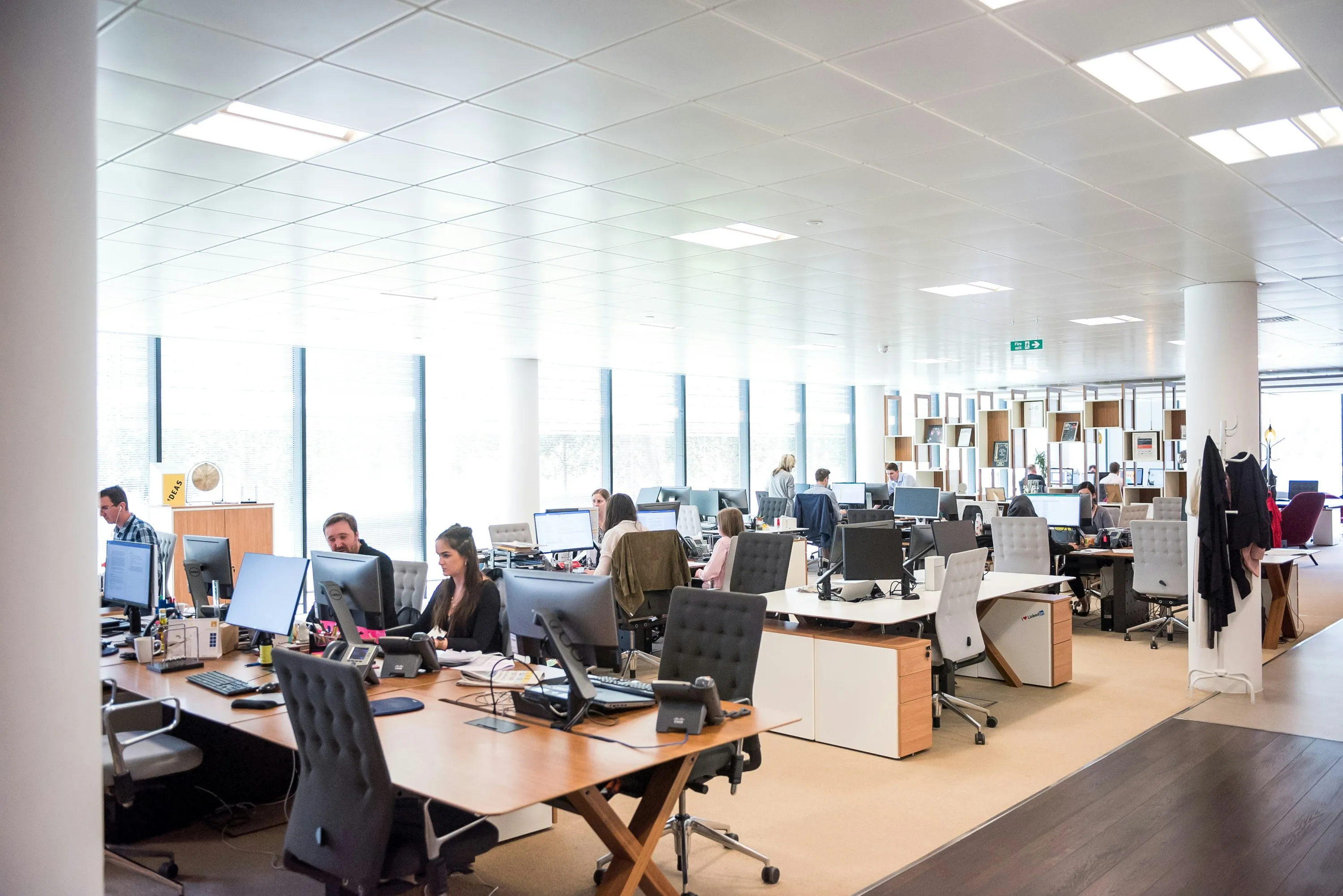 An open-plan office with people working at their desks under bright natural light