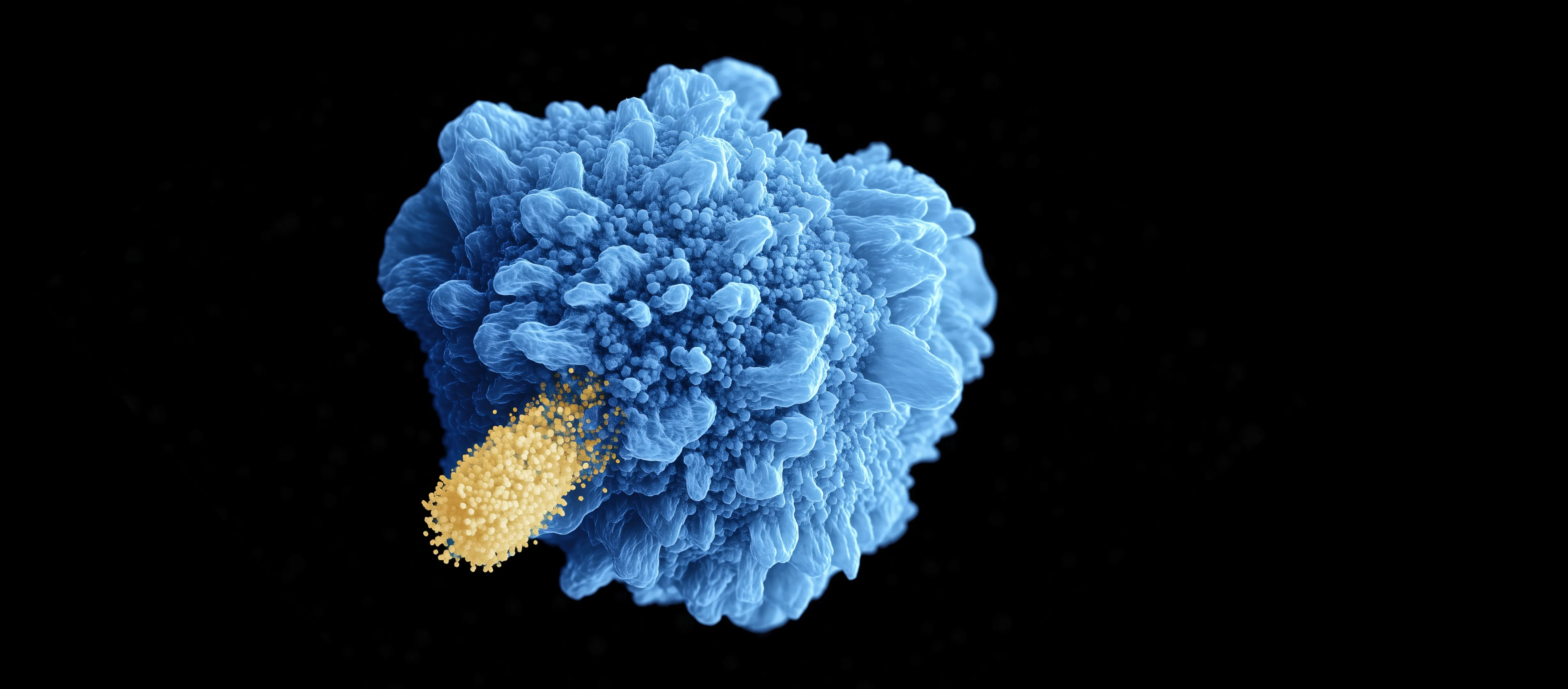 Close-up electron microscopy scan of a spore-like structure tinted in blue